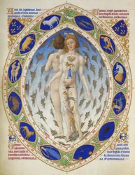 Très Riches Heures du duc de Berry : Homme anatomique