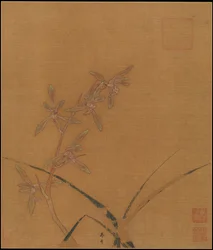Orchidées, deuxième quart du XIIIe siècle (feuille d