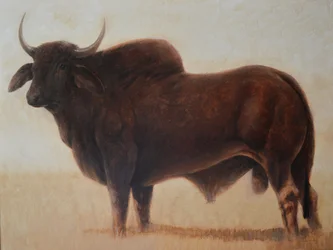 taureau brahmane