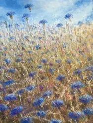 Bleuets 2