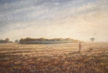 Promenade de chien 1