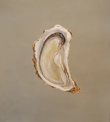 Huître 2