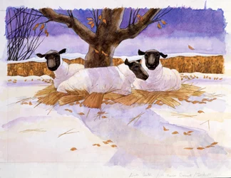 Moutons dans la neige