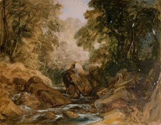 Ruisseau de montagne et rochers, [19ème siècle]