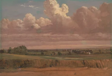 Paysage avec champ de blé