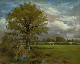 Arbre dans un pré, vers 1850