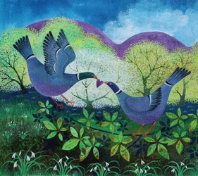 Oiseaux amoureux, 2020