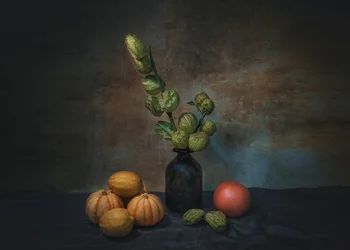 Nature morte « Moody Harvest »
