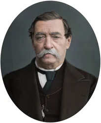 Lord Napier de Magdala, 1878