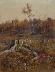Paysage