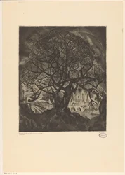 Arbre en hiver