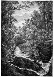 Ruisseau de montagne avec rochers et cascade au milieu d