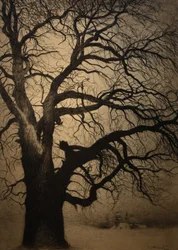 Léon Spilliaert (1881-1946) Arbre en hiver Brafa 2019 31-01-2019