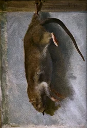Étude d
