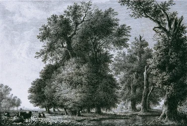 Paysage avec chênes
