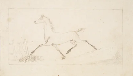 Un cheval au trot