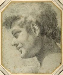 Tête de jeune homme de profil, regardant vers le bas