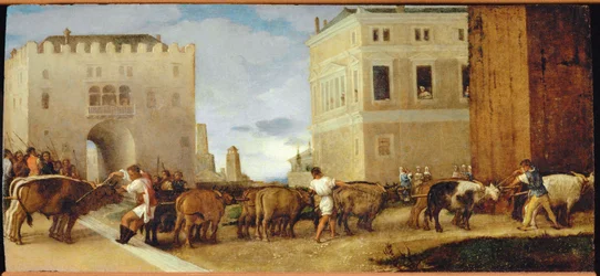 Les bœufs de Sainte-Lucie