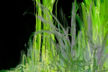 Feuillage vert abstrait