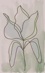 Contour botanique minimaliste