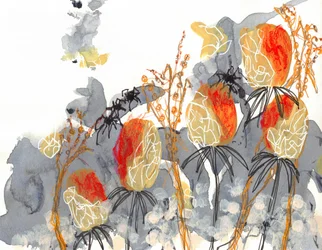 Banksia orange avec des araignées