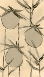 Plantes de coton sépia