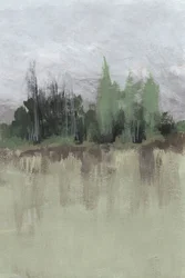 Reflet serein de la forêt