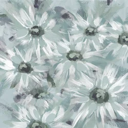 Marguerites bleu pâle