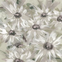 Fleurs de marguerite délicates