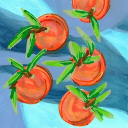 Des agrumes aux couleurs éclatantes