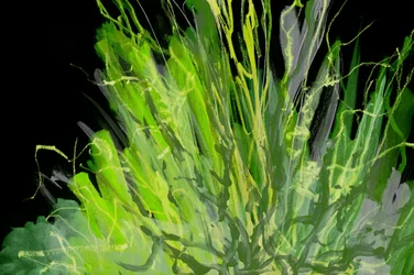 Abstrait vert vif