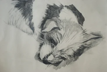 Jack Russel, 2015
