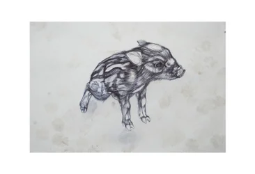Petit Cochon