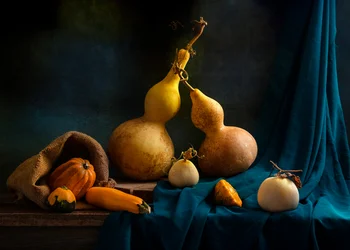 Nature morte aux courges d
