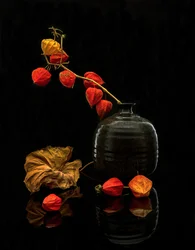 Nature morte aux lanternes d