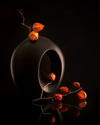Éléments botaniques orange, vase noir