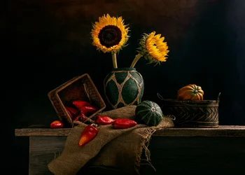 Récolte rustique de tournesols