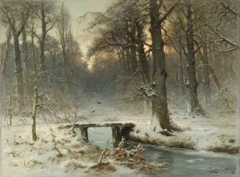 Une soirée de janvier dans les bois de La Haye