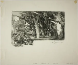 Midi, sous les arbres