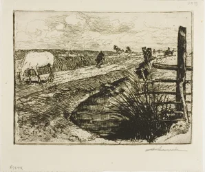 Route du Marais, Vendée