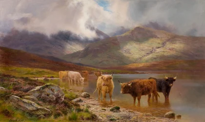 Bétail des Highlands