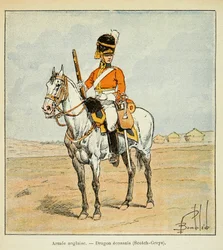 Armée anglaise : Dragons écossais (scotch greys), Collection privée