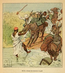 La Guerre à Madagascar - Histoire anecdotique des expéditions françaises de 1885-1895 par Henri Galli dit Gallichet (1854-1922), illustrée par Louis Bombled (1862-1927) : Mulets refusant de traverser un gué lors de l