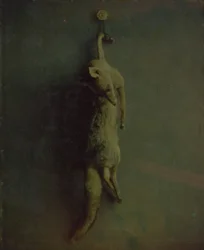 Renard, vers 1870