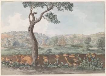 Ruine du temple de Castor et Pollux dans les murs de l