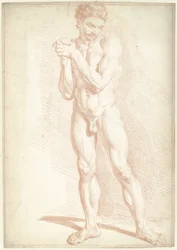 Nu masculin, debout