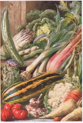 Légumes de Jardin, illustration de 