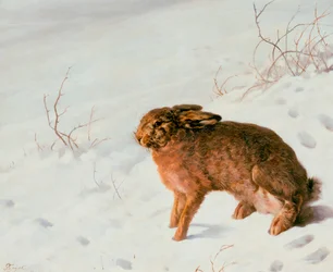 Lièvre dans la neige, 1875