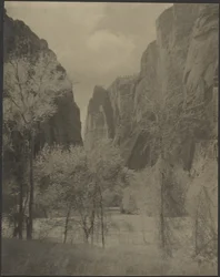 [Paysage du Canyon]