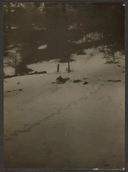 [Enfant descendant une colline en luge]